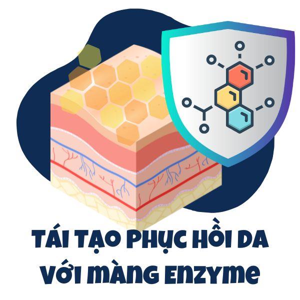 Tái Tạo Phục Hồi Da Với Enzyme