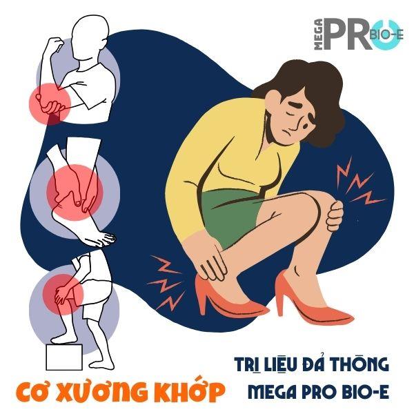 Trị Liệu Cơ - Xương - Khớp Mega Pro Bio-E
